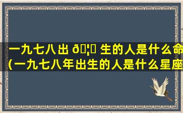 一九七八出 🦆 生的人是什么命（一九七八年出生的人是什么星座）